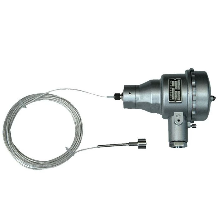 Explosion-proof RTD